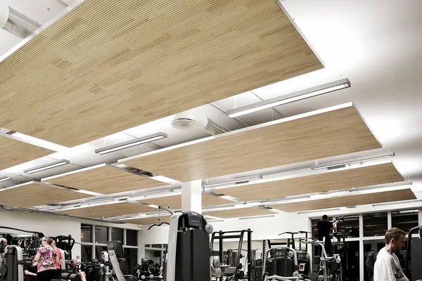 LIGNO® Akustik light Ceiling Raft